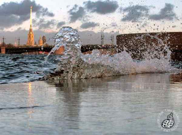 长得像鸭子的浪花