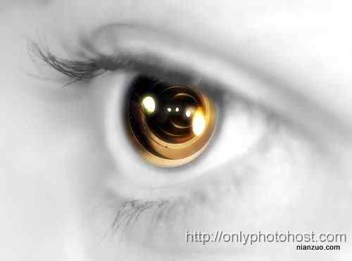 [组图]欣赏动物的眼睛