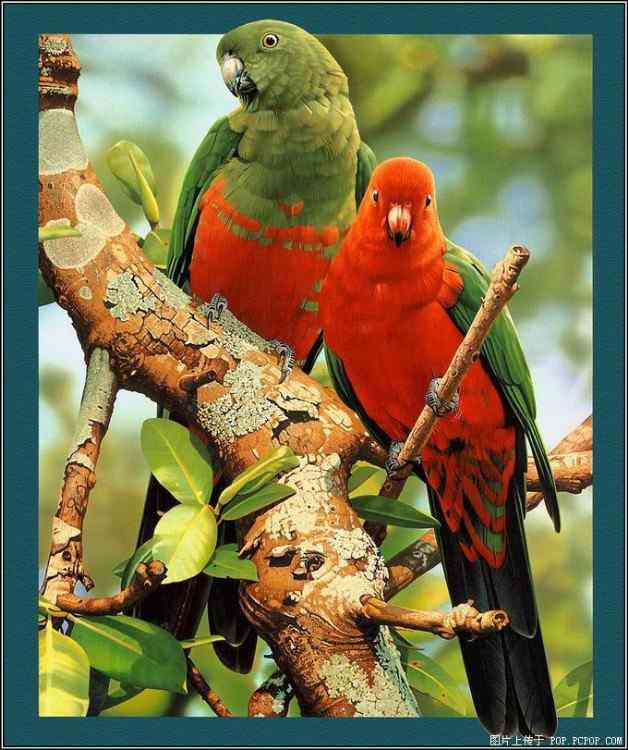 惊艳四射我最美