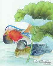 吉祥鸟水彩画手机壁纸