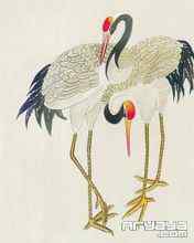 吉祥鸟水彩画手机壁纸