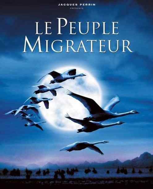 法国绝美鸟类纪录片 历时4年打造