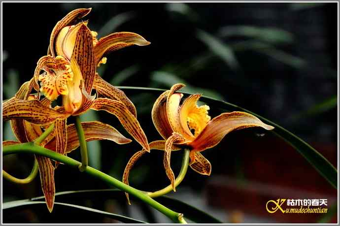 今天不拍鸟【照片】