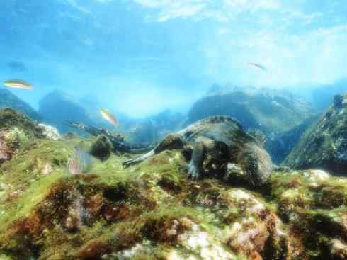 自然奇观：动物大迁徙(绿鬣蜥）