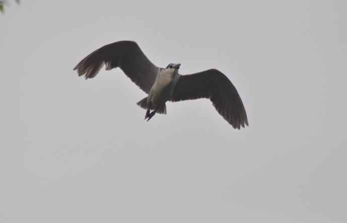 20100505当日总结 20100505当日总结