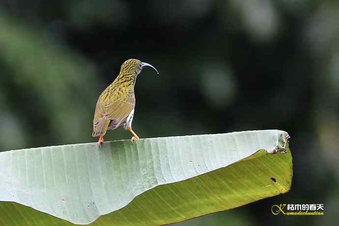 记录鈥溛票巢吨肽疋