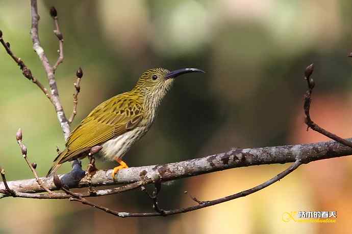 记录鈥溛票巢吨肽疋