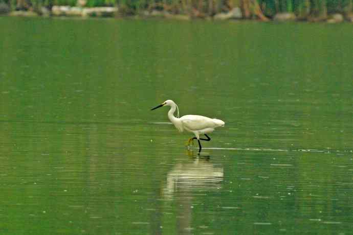 和谐 wbr wbr记录版 wbr wbr（2）