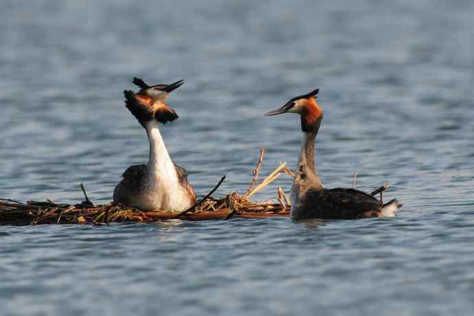 清明假日惬意的午后时光