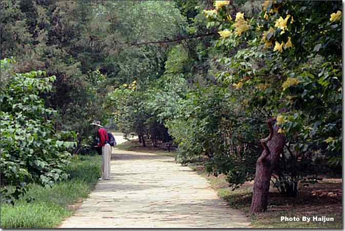  点击图片或使用键盘← →翻页