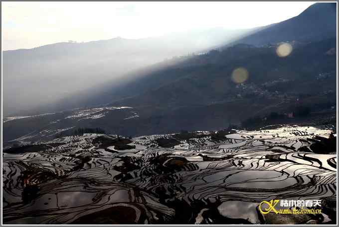如梦的元阳梯田【照片】