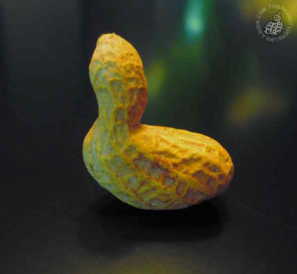 世界上最无聊的网站:一粒长得像鸭子的花生