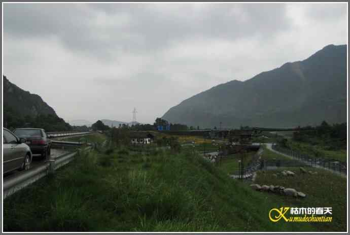 雨天拍鸟的惊喜【照片】