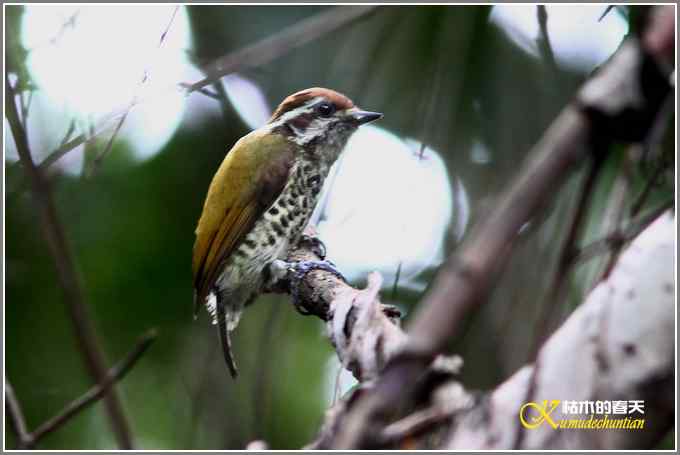 阳光明媚好心情【照片】 阳光明媚好心情【照片】