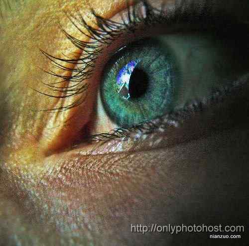 [组图]欣赏动物的眼睛