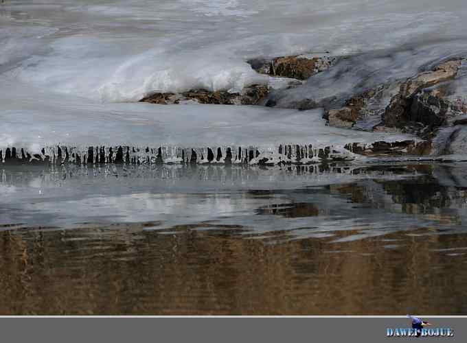 冰上鸭趣 冰上鸭趣