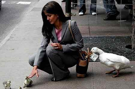 孩子们,给妈妈打掩护