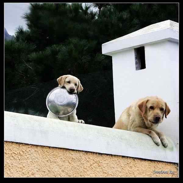 动物世界图片(上)