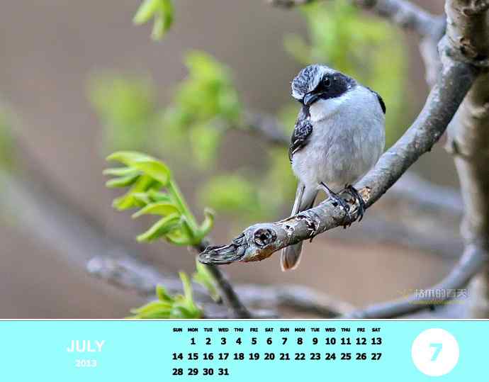 乘风追梦鈥斺斘业2012（附图）