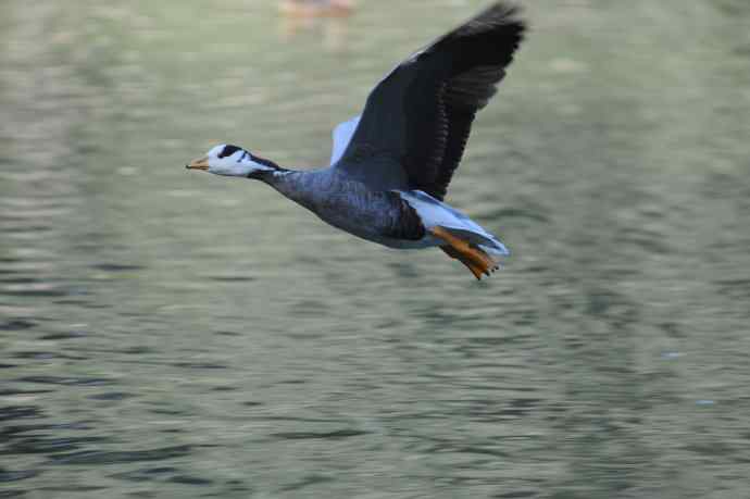 八月十六（杂片）