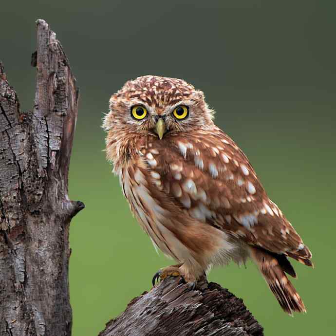 不期而遇鈥斺斪菸聘剐←^