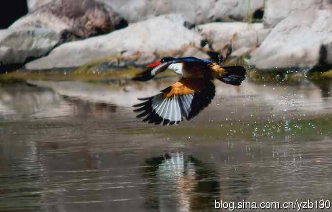 初次觐见幽州蓝妃（组图，12张图片）