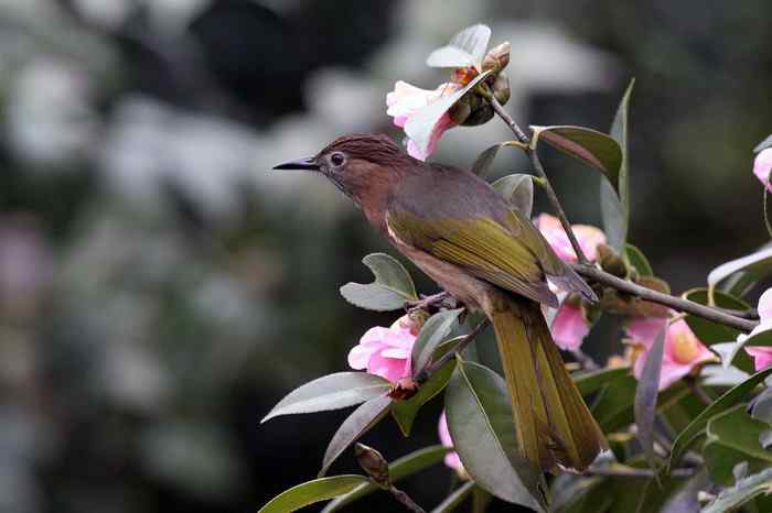 杭州老郑摄影续 杭州老郑摄影续