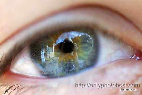 [组图]欣赏动物的眼睛