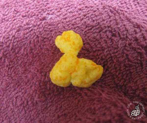 一粒长得像鸭子的奶酪卷