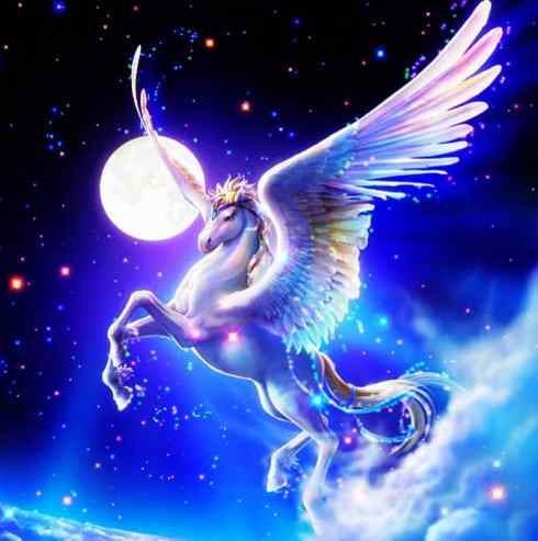 独角兽：传说的兽