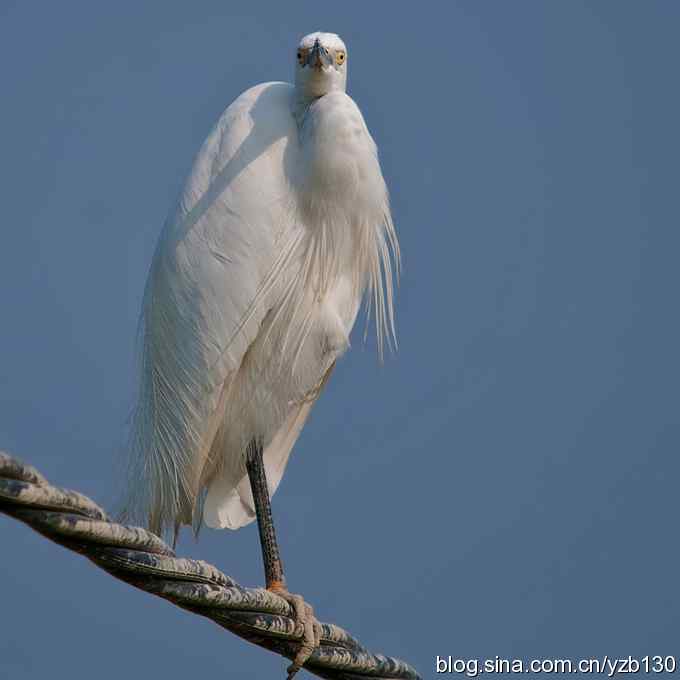 白衣天使高空独立作业（组图，6张图片）