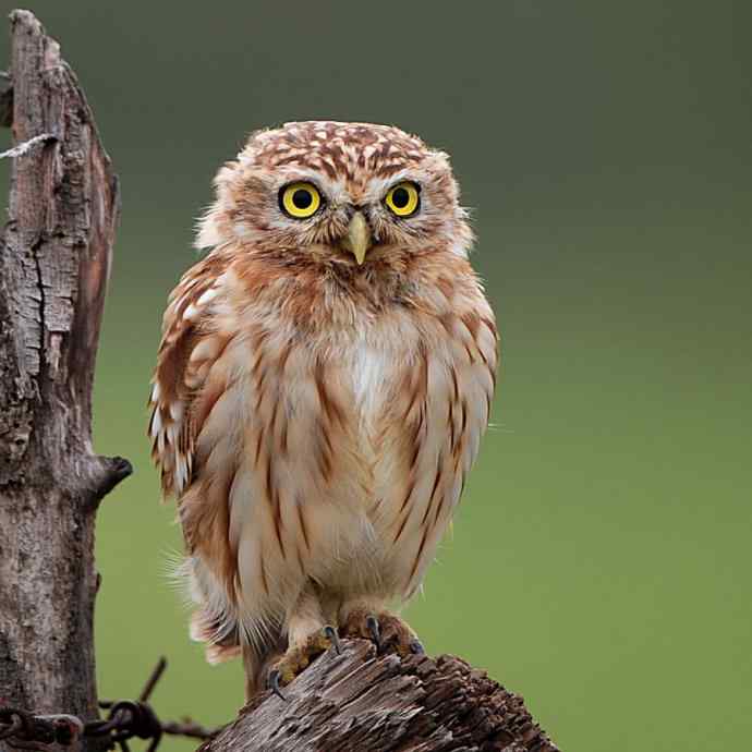 不期而遇鈥斺斪菸聘剐←^