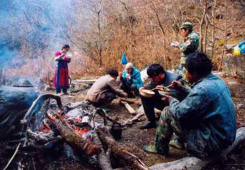 去会会白马鸡和绿尾虹稚