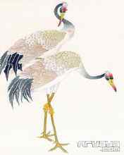 吉祥鸟水彩画手机壁纸