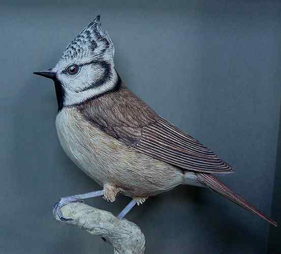 荷兰艺术家叹为止观的3D折纸小鸟 荷兰艺术家叹为止观的3D折纸小鸟