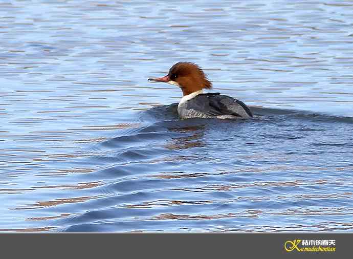 月亮湾拍的鈥溓锷逞尖潯臼蹬摹