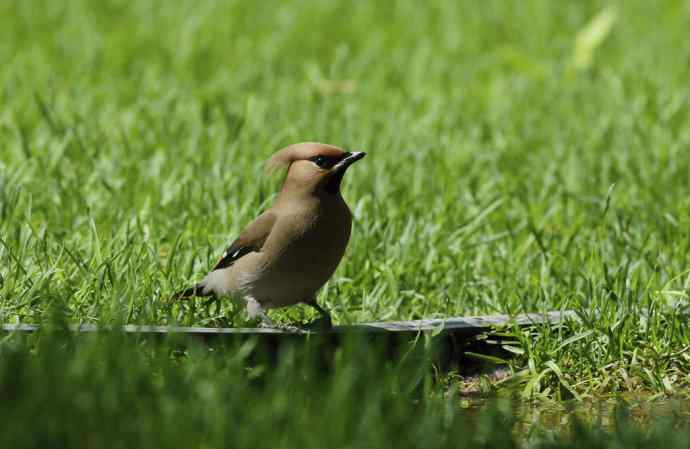 向博友老K致敬 向博友老K致敬