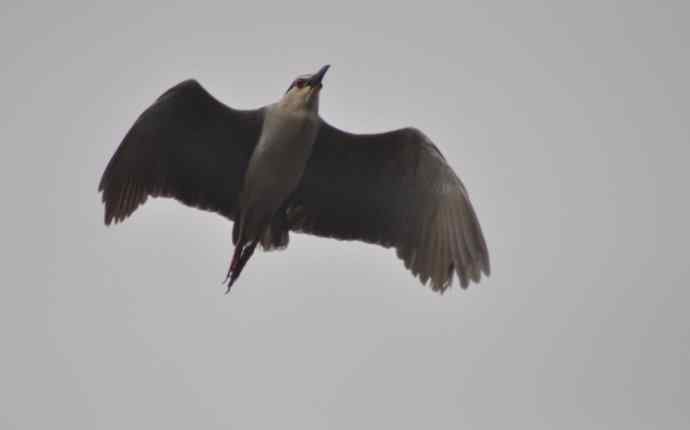 20100505当日总结 20100505当日总结