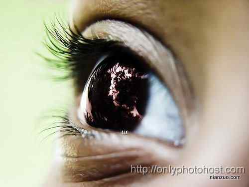 [组图]欣赏动物的眼睛