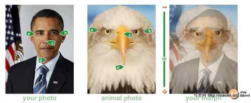美国的象征 奥巴马+白头鹰