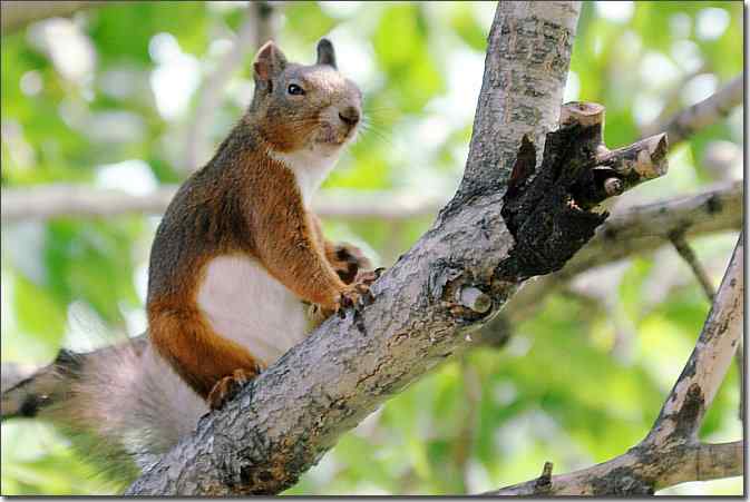  点击图片或使用键盘← →翻页