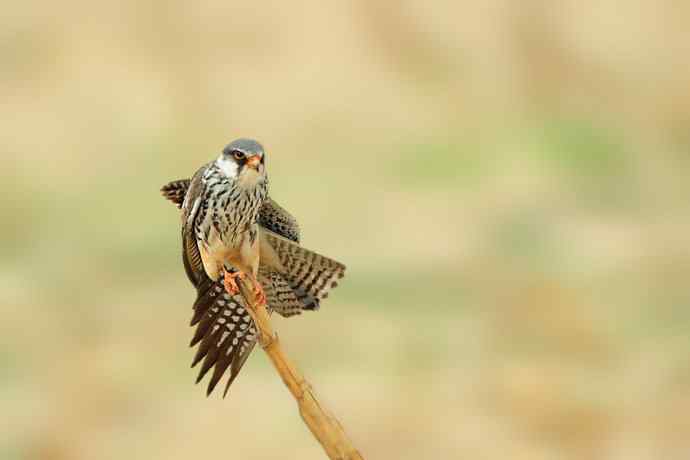 五月天鈥斺斎づ陌⒛露溃ㄈ