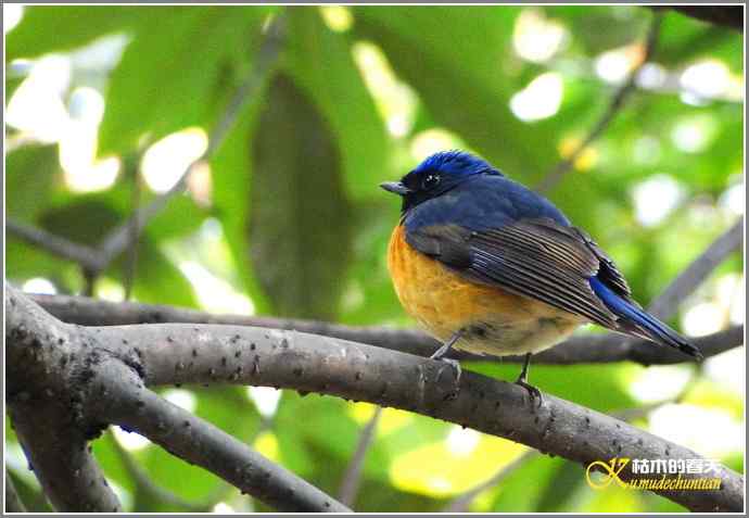 RP？鸟运？【照片】