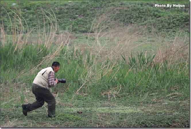  点击图片或使用键盘← →翻页