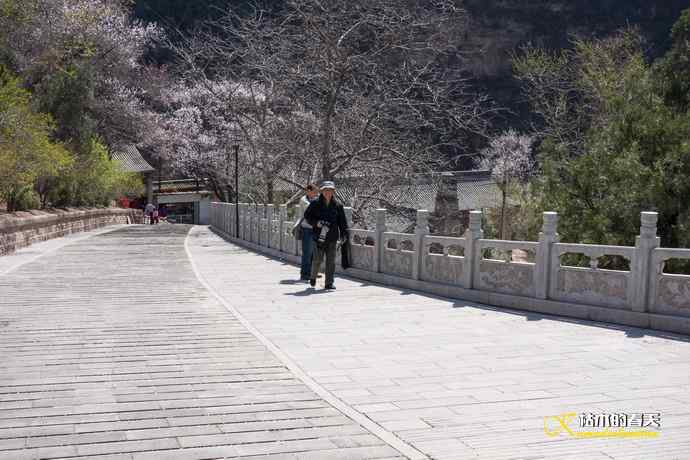 玄中古寺拍鈥満致恚Γ┾