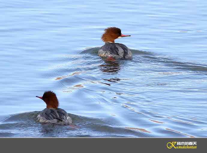 月亮湾拍的鈥溓锷逞尖潯臼蹬摹