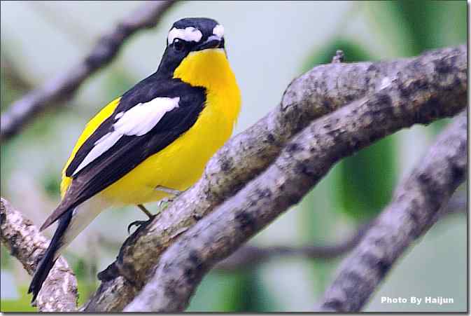  点击图片或使用键盘← →翻页