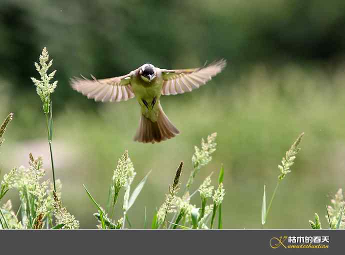 夏天的鈥湴淄佛氢