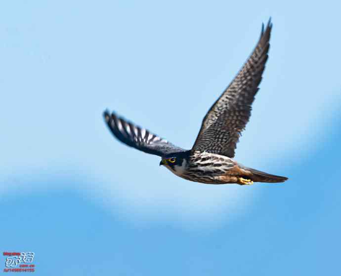 官厅水库&nbsp;wbr路&nbsp;wbr金秋十一猛