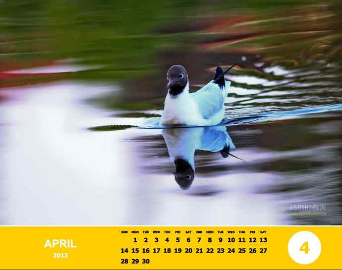 乘风追梦鈥斺斘业2012（附图）